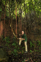 Patrick Blanc emerging from the aerial roots of Cissus repens, Tanglang Shan, Shenzhen, China, July 2017