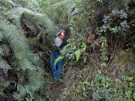 Patrick Blanc emerging from the forest, Meghalaya, India, Dec. 2003