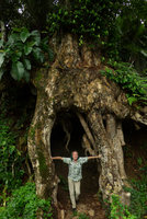 Patrick Blanc emerging from tree buttresses, Maninjau lake, West Sumatra, Dec. 2016