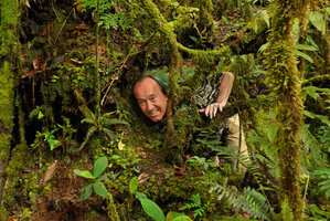 Patrick Blanc emerging from tree roots in the mossy forest, Tari, 2000 m asl, Hela, Papua New Guinea, March 2016