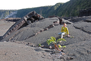 Patrick Blanc et Sadleria cyatheoides, Hawai&#039;i, Jan. 2008