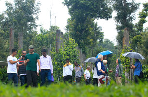 Patrick Blanc explaining the growth habits and architecture of Piper nigrum to members of the WGIC in Karnataka, June 2018