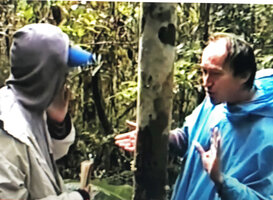 Patrick Blanc explaining to Nelson Rabenandrianina the morphological differences between Ravenala blancii and R. hladikorum, Andasibe, Madagascar, June 1998