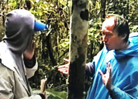 Patrick Blanc explaining to Nelson Rabenandrianina the morphological differences between the yet unnamed Ravenala blancii (malama) and Ravenala hladikorum (hiranhirana), Andasibe, Madagascar, June 1998, photo Pascal Heni