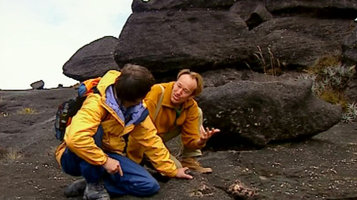 Patrick Blanc explaining to Nicolas Hulot the progressive creation of a filmy soil at the surface of the Kukenan Tepui sandstone table summit, Venezuela, March 1999