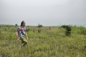 Patrick Blanc exploring the swampy lowgrounds of the new project, Qingdao, China, July 2015