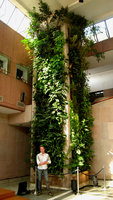Patrick Blanc, French Embassy Vertical Garden, New Delhi, Dec. 2006
