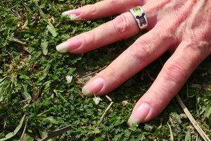 Patrick Blanc hand giving the scale for the tiny carpeting Mimosa viva, Baracoa, Cuba, Feb.2017
