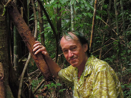 Patrick Blanc hanging a Pandanus young stilt root, Si Phangna NP, Thailand, 2011