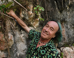 Patrick Blanc having climbed along the vertical limestone cliff to observe the new Begonia species, Buntu Burake, Makale, 1050 m asl, South Sulawesi,June 2019