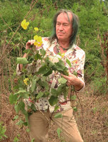 Patrick Blanc holding a flowering specimen of Merremia umbellata, Kribi, Cameroon, March 2018