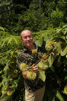 Patrick Blanc holding a flowering stem of Uncaria cordata var. ferruginea, Johore, Malaysia, April 2017