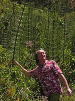 Patrick Blanc holding a huge Equisetum giganteum stem, 2000 m, Madre de Dios, Peru, Aug 2014