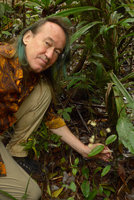 Patrick Blanc holding a leaf litter basal flowering branch of the small understory Syzygium gracilipes, Colo-I-Suva, Viti Levu, Fiji, Aug. 2016