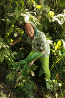 Patrick Blanc holding an entire sagittate leaf of Lasia spinosa, Hlawga NP, Yangon, Myanmar, Dec. 2017