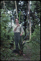 Patrick Blanc holding a specimen for herbarium of a huge Cyperaceae, Saul, French Guyana, Feb. 1985
