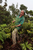 Patrick Blanc holding fronds of Matonia pectinata, Mt Kinabalu, Sabah, Borneo, Aug. 2018