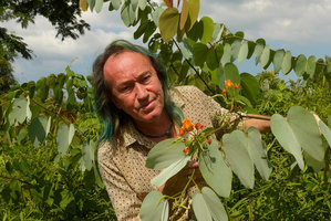 Patrick Blanc holding stems of Bauhinia pottsii with silvery white bracteal leaves and orange flowers, Takua Pa, Phang Nga, Thailand, Dec 2015