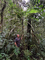 Patrick Blanc holding the almost 3 m high stipe of an unidentified tree fern, probably belonging to Thelypteridaceae but also possibly to Osmundaceae, Kwau, 1600 m asl, Arfak Mts, West Papua, May 2025