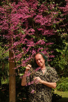 Patrick Blanc holding the flowering stems of a bright pink form of Congea tomentosa in the Bernadeth Ratulangi garden, Tomohon, Sulawesi, Aug. 2015