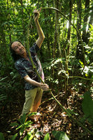 Patrick Blanc holding the giant rattan like stem of a Smilax, Putao, Kachin, Myanmar, Dec. 2017