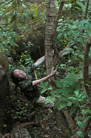 Patrick Blanc holding the huge flat stem of a Tetrastigma liana, Mount Popa, Mandalay, Myanmar, Dec. 2017