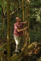 Patrick Blanc holding the huge flat stem of a Tetrastigma, Sai Yok NP, Kanchanaburi, Thailand, Dec 2015