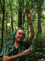Patrick Blanc holding the narrow freely hanging barbed shiny black root of the new Cercestis species, Ebodje, Campo, Cameroon, Sept. 2023