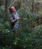 Patrick Blanc holding the petiole of the large multipartite leaf of Tacca artocarpifolia in forest understory, Anjozorobe Angavo, Madagascar, Aug. 2024