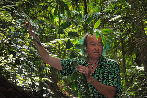 Patrick Blanc holding the plagiotropic branches of Amborella trichopoda, Col d&#039;Amieu, New Caledonia, Aug. 2023