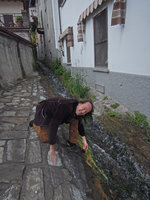 Patrick Blanc holding the rheophytic Agrostis stolonifera, Como lake, Italy, April 2016