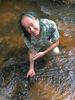 Patrick Blanc holding the rheophytic Bolbitis heudelotii, Kribi, Cameroon, March 2018