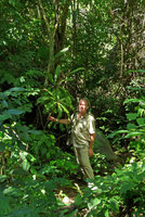 Patrick Blanc holding the stem of the monocaulous Clavija cf.membranacea with spiny leaf margins, Tayrona NP, Magdalena, Colombia, Nov.. 2016