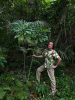 Patrick Blanc holding the stem of the monocaulous Ficus pseudopalma, Tapilon, Cebu, Philippines, Dec. 2024