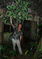 Patrick Blanc holding the ternately compound leaves of Schefflera heterophylla growing on an old abandoned house, Taman Negara, Malaysia, Aug. 2011