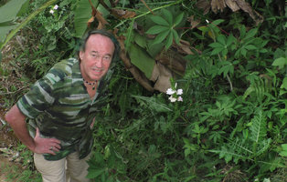Patrick Blanc in Acanthus montanus river bank habitat, a west African native species introduced during colonial period, Selama, Perak, Malaysia, Feb. 2019