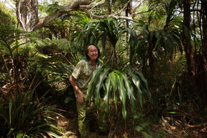Patrick Blanc in a Cordyline mauritiana clump, Belouve, La Reunion, Oct. 2015