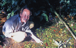 Patrick Blanc in a Cryptocoryne longicauda population, Gunung Mulu NP, Borneo, July 2005