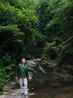 Patrick Blanc in a ferny gully, Como Lake, Italy, June 2021