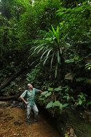 Patrick Blanc in a forest stream, close to a Piper and under an epiphytic Bromeliaceae, Mashpi FR, Pichincha, Ecuador, Aug. 2021
