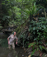 Patrick Blanc in a forest stream to observe a climbing Piper, Waisia waterfall, Seram, Moluccas, April 2024