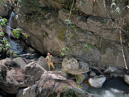 Patrick Blanc in a karst canyon observing some patches of Begonia stilpnophylla growing without resting period in the heart of the dry season thanks to the spray of a small waterfall, Liawaeoli, Ossu, Timor-Leste, Aug. 2026
