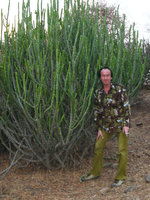 Patrick Blanc in an Euphorbia clump, Jaipur, India, Dec. 2006