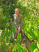 Patrick Blanc in an open forest stream with Anubias afzelii, Mali, Jan. 2006
