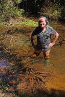 Patrick Blanc in Aponogeton rigidifolius habitat, Sinharaja, Sri Lanka, Nov. 2024