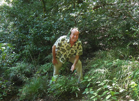 Patrick Blanc in a Pteris nipponica population, Yamaguchi, Japan, Sept 2014