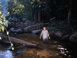 Patrick Blanc in a rain forest stream, Sarawak, Borneo, July 2005