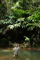 Patrick Blanc in a river bed under the flowering clumps of the huge native Alpinia purpurata, Tenaru Falls, Guadalcanal, Solomon Islands, Sept. 2019
