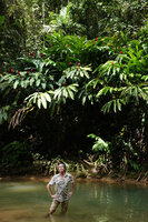 Patrick Blanc in a river bed under the flowering clumps of the huge native Alpinia purpurata, Tenaru Falls, Guadalcanal, Solomon Islands, Sept. 2019