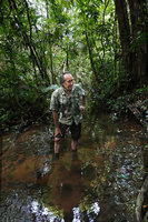 Patrick Blanc in a shallow forest stream observing a dense submerged population of Cryptocoryne cordata var. siamensis, Khao Lak Lam Ru NP, Thailand, June 2019